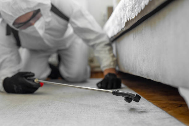 Professional Termite Control technician working in Sublette, KS