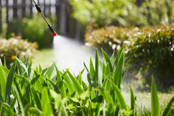 24/7 Emergency Termite Control experts in Sublette, KS